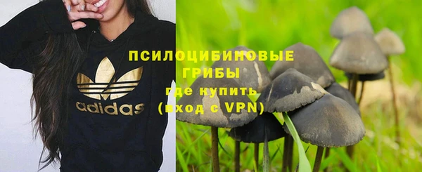 дурь Баксан