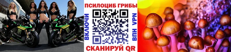 Галлюциногенные грибы прущие грибы  blacksprut ССЫЛКА  Красный Кут  где купить наркоту 